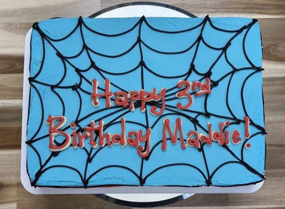 Gluten Free Spidey Cake